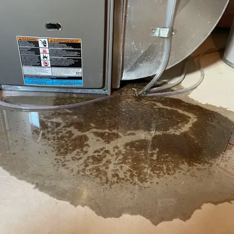 Appliance Leak Cleanup in Lawrence County, AL